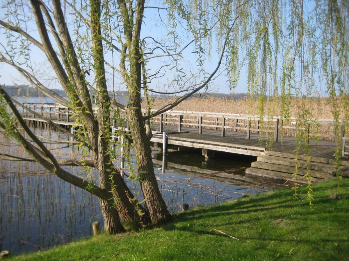 Schloss-Und Seeblick Apartment Rheinsberg Eksteriør bilde